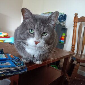 Meet your Posher, Bridget